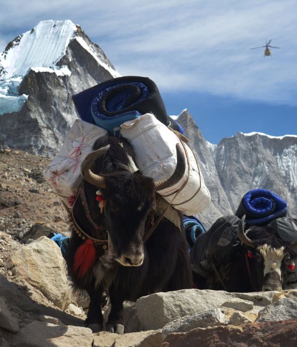 hiking in Himalayas