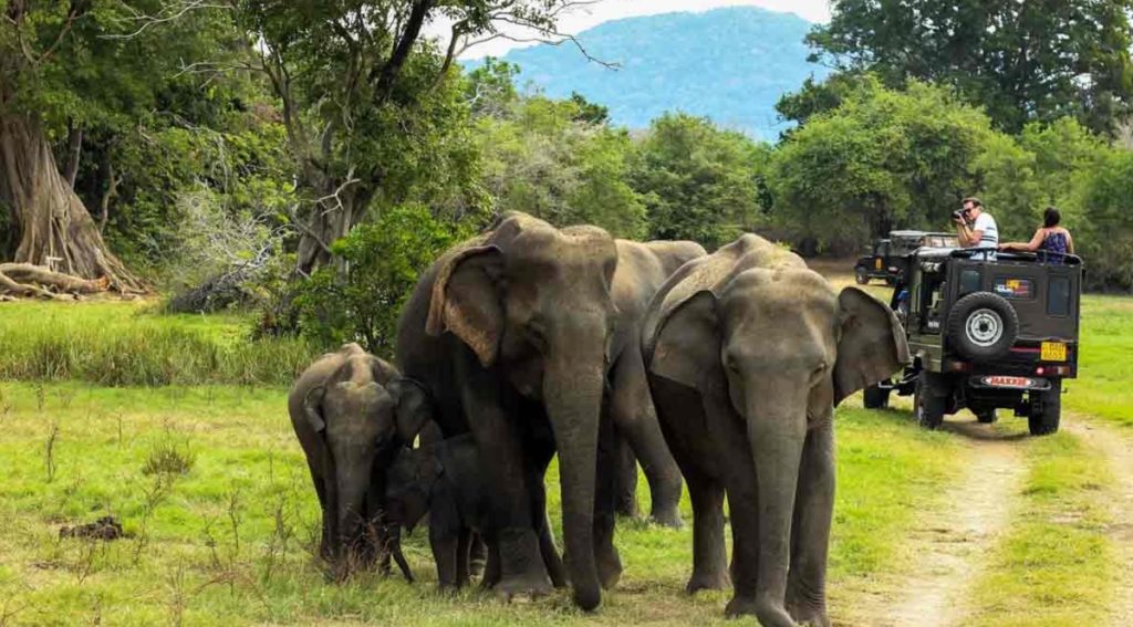Kerala-Threkkady-Periyar-National-Park-04