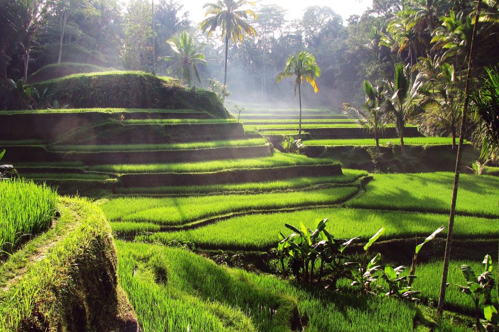 Bali Adventure